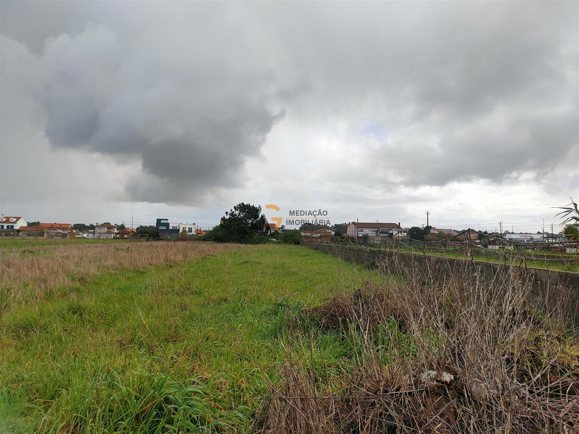 Terremo Rustico à venda na Gafanha da Encarnação