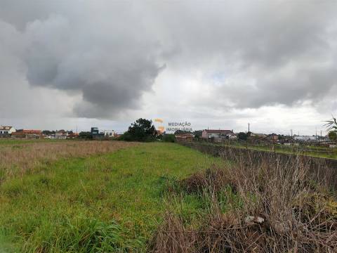 Terremo Rustico à venda na Gafanha da Encarnação