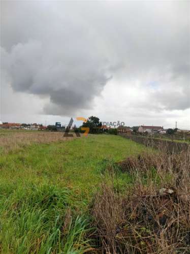 Terremo Rustico à venda na Gafanha da Encarnação