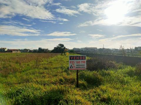 Terremo Rustico à venda na Gafanha da Encarnação