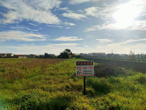 Terremo Rustico à venda na Gafanha da Encarnação