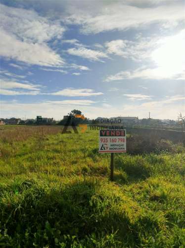 Terremo Rustico à venda na Gafanha da Encarnação