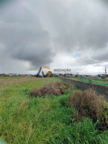 Terremo Rustico à venda na Gafanha da Encarnação