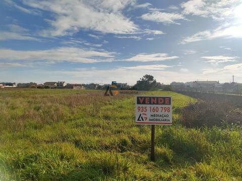 Terremo Rustico à venda na Gafanha da Encarnação