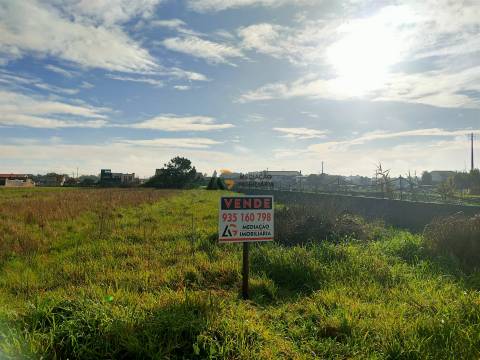 Terremo Rustico à venda na Gafanha da Encarnação