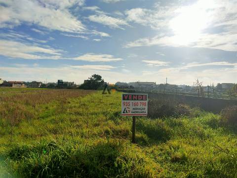 Terremo Rustico à venda na Gafanha da Encarnação