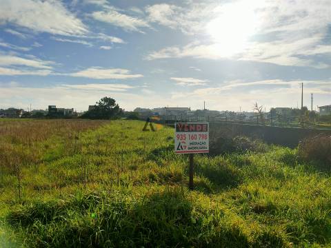 Terremo Rustico à venda na Gafanha da Encarnação