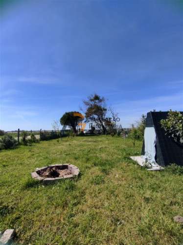 Terreno Rústico  Venda em Gafanha do Carmo,Ílhavo