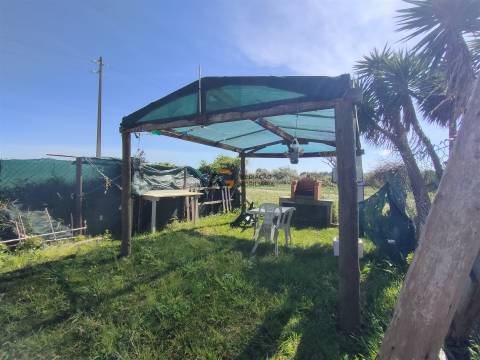 Terreno Rústico  Venda em Gafanha do Carmo,Ílhavo