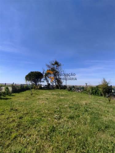 Terreno Rústico  Venda em Gafanha do Carmo,Ílhavo