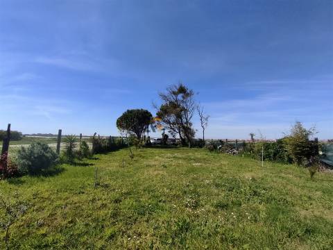 Terreno Rústico  Venda em Gafanha do Carmo,Ílhavo