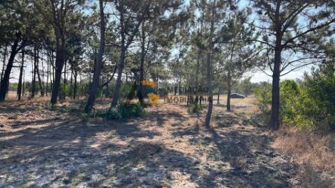Terreno Para Construção  Venda em Gafanha da Boa Hora,Vagos