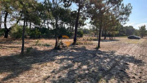 Terreno Para Construção  Venda em Gafanha da Boa Hora,Vagos