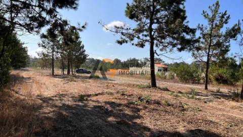 Terreno Para Construção  Venda em Gafanha da Boa Hora,Vagos