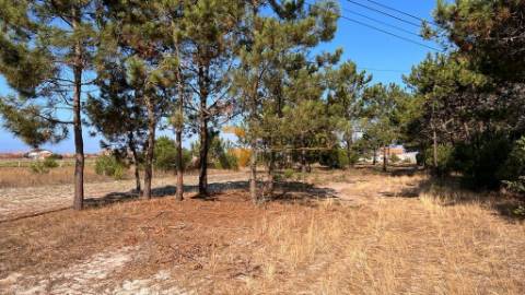 Terreno Para Construção  Venda em Gafanha da Boa Hora,Vagos