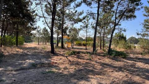 Terreno Para Construção  Venda em Gafanha da Boa Hora,Vagos