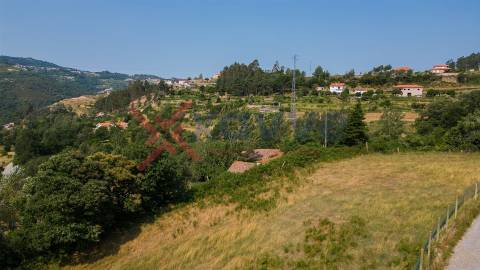 Propriedade c/ 24000m2 - Marco de Canaveses