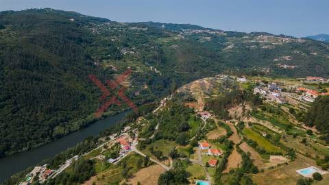 Propriedade c/ 24000m2 - Marco de Canaveses