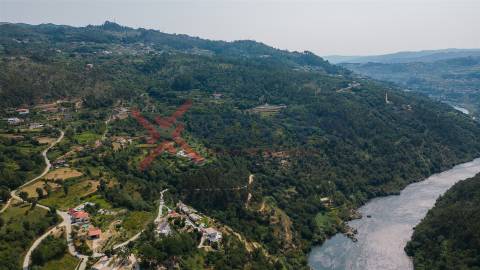 Propriedade c/ 24000m2 - Marco de Canaveses