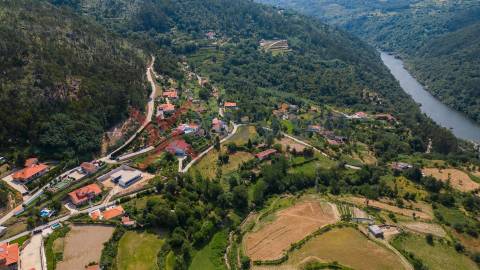 Propriedade c/ 24000m2 - Marco de Canaveses