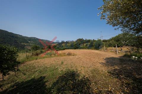 Propriedade c/ 24000m2 - Marco de Canaveses