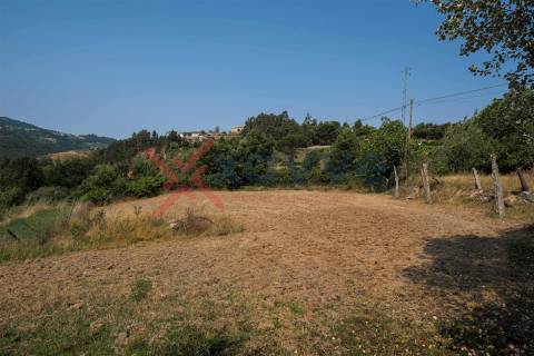 Propriedade c/ 24000m2 - Marco de Canaveses