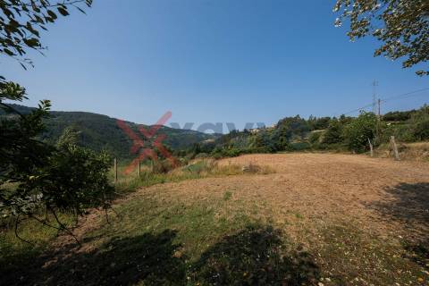 Propriedade c/ 24000m2 - Marco de Canaveses