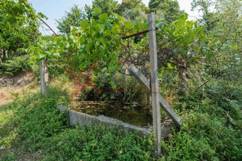 Propriedade c/ 24000m2 - Marco de Canaveses