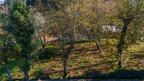 Moradia p/ recuperar - Rossas, Vieira do Minho