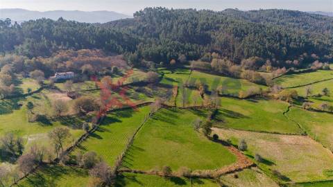 Terreno c/ 3.220m2 - Soutelo, Vieira do Minho