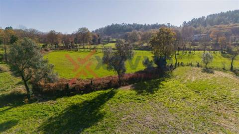 Terreno c/ 3.220m2 - Soutelo, Vieira do Minho