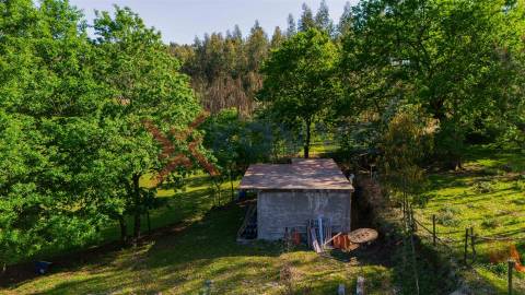 Terreno Rústico - Serzedelo, Póvoa de Lanhoso