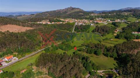 Terreno Rústico - Serzedelo, Póvoa de Lanhoso