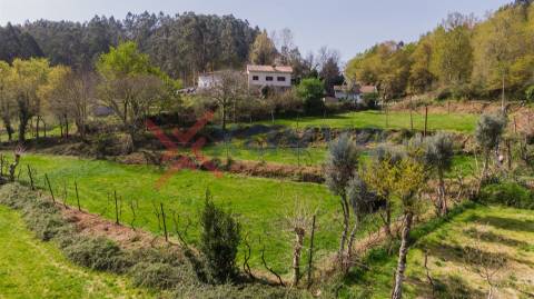 Terreno p/ Venda - Cantelães, Vieira do Minho