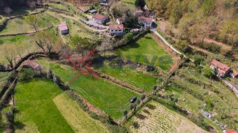 Terreno p/ Venda - Cantelães, Vieira do Minho