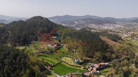 Terreno p/ Venda - Cantelães, Vieira do Minho