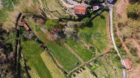 Terreno p/ Venda - Cantelães, Vieira do Minho