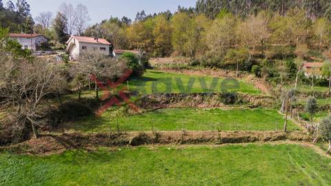 Terreno p/ Venda - Cantelães, Vieira do Minho
