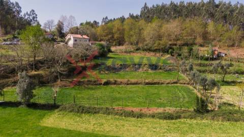 Terreno p/ Venda - Cantelães, Vieira do Minho