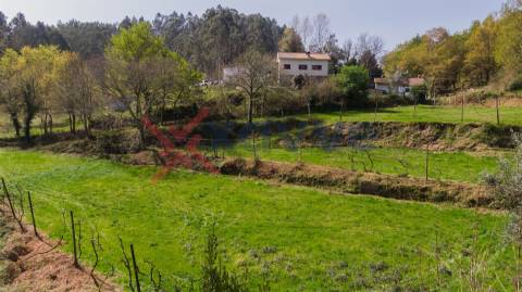 Terreno p/ Venda - Cantelães, Vieira do Minho