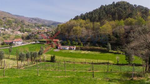 Terreno p/ Venda - Cantelães, Vieira do Minho