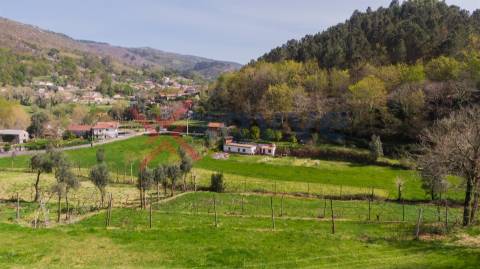 Terreno p/ Venda - Cantelães, Vieira do Minho