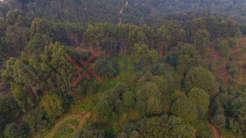 Terreno c/ 12.350m2 - Tabuaças,  Vieira do Minho