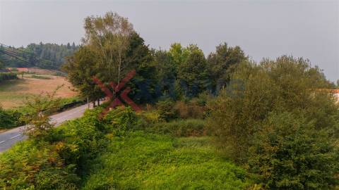 Terreno c/ 12.350m2 - Tabuaças,  Vieira do Minho