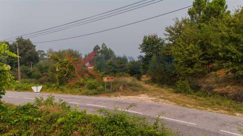 Terreno c/ 12.350m2 - Tabuaças,  Vieira do Minho