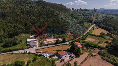 Terreno c/ 4.100 m2 - Pinheiro, Vieira do Minho