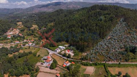 Terreno c/ 4.100 m2 - Pinheiro, Vieira do Minho