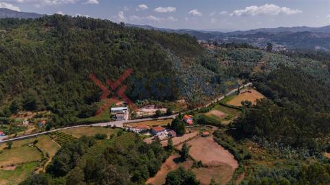 Terreno c/ 4.100 m2 - Pinheiro, Vieira do Minho