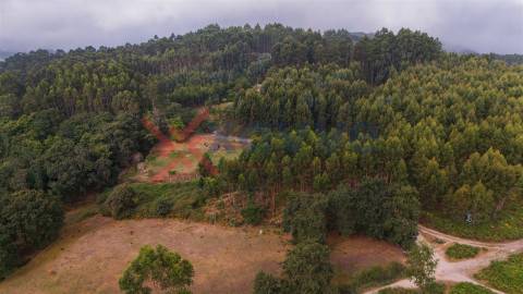 Terreno c/ 6.300m2 - Tabuaças, Vieira do Minho