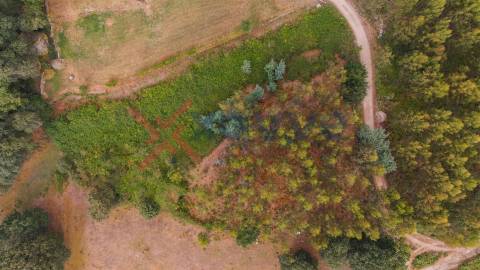 Terreno c/ 6.300m2 - Tabuaças, Vieira do Minho